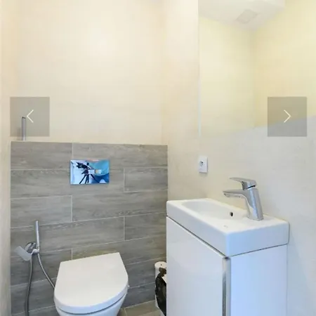 Apartment Flat For Rent, Park