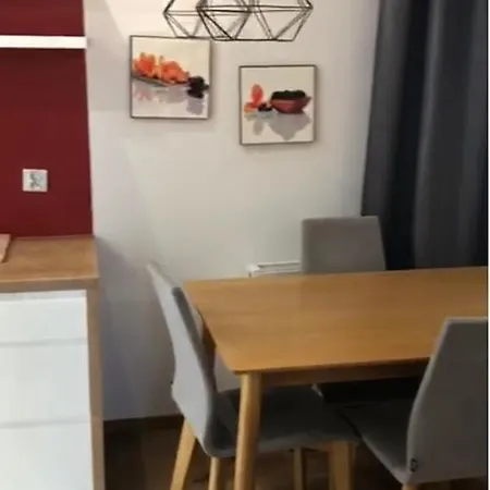 Flat For Rent, Park Apartment Lodz