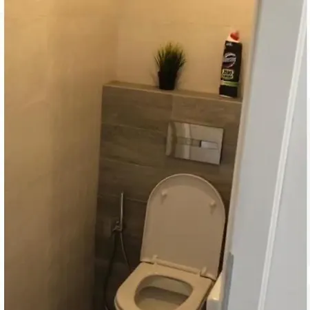 Flat For Rent, Park Apartment